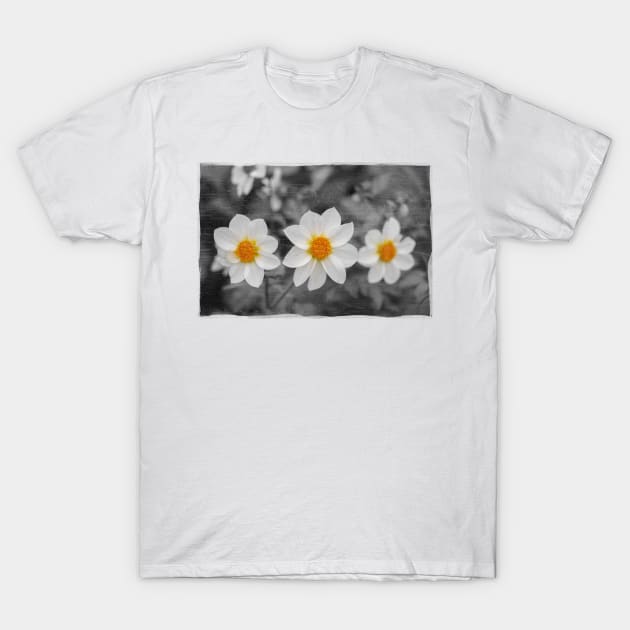 Three Flowers T-Shirt by cinema4design